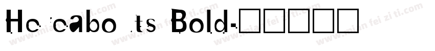 Hereabouts Bold字体转换